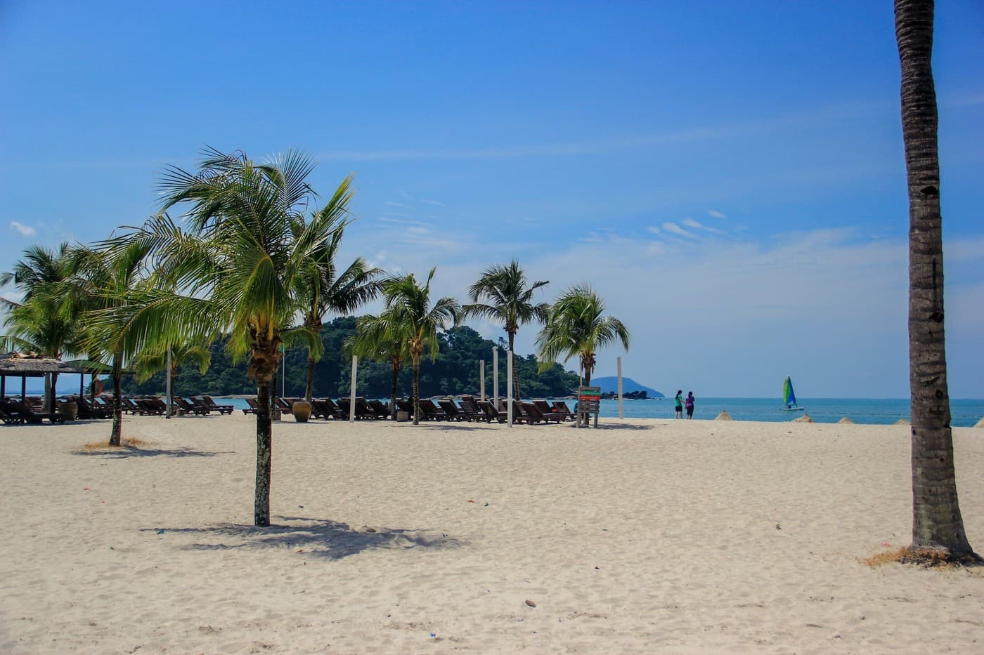 Palm trees on a white sand beach in Langkawi, one of the best places for tourism in Malaysia