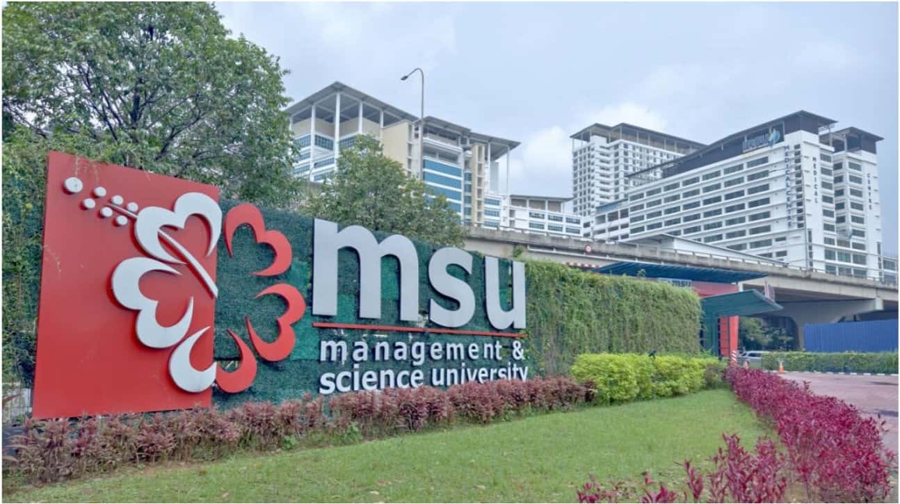جامعة الإدارة والعلوم (MSU)